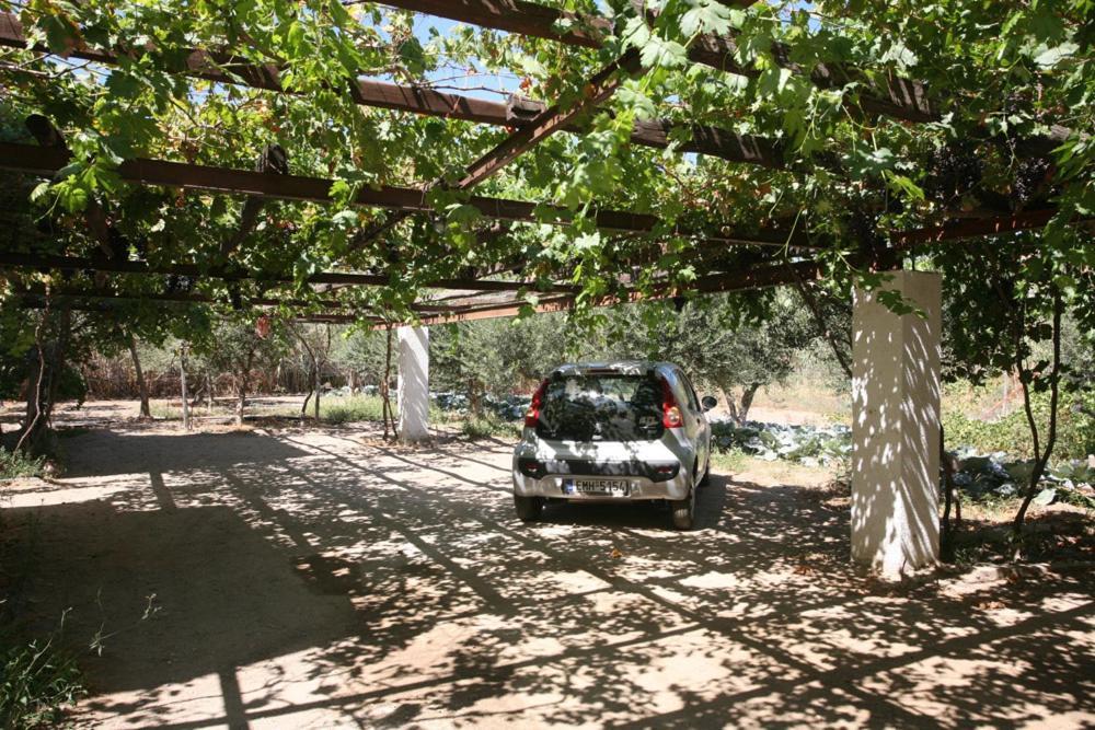 Caviri Apartment Galissas Exterior photo